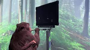 Как компания Илона Маска научила обезьяну играть в видеоигру 