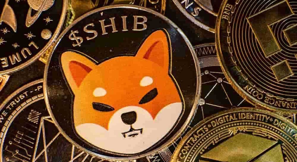 Криптовалюта Shiba Inu растет более чем на 1000% за месяц