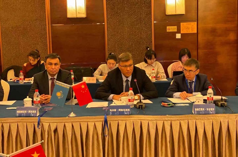 Казахстан и Китай договорились о совместной борьбе с саранчовыми вредителями 