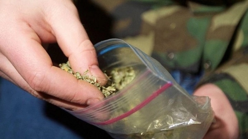 В Темиртау изъято более 360 кг марихуаны и гашиша  