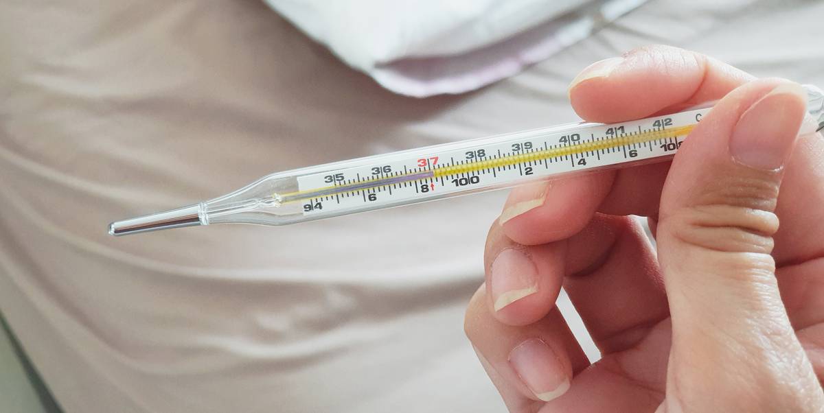 Как температура после вакцинации влияет на антитела  