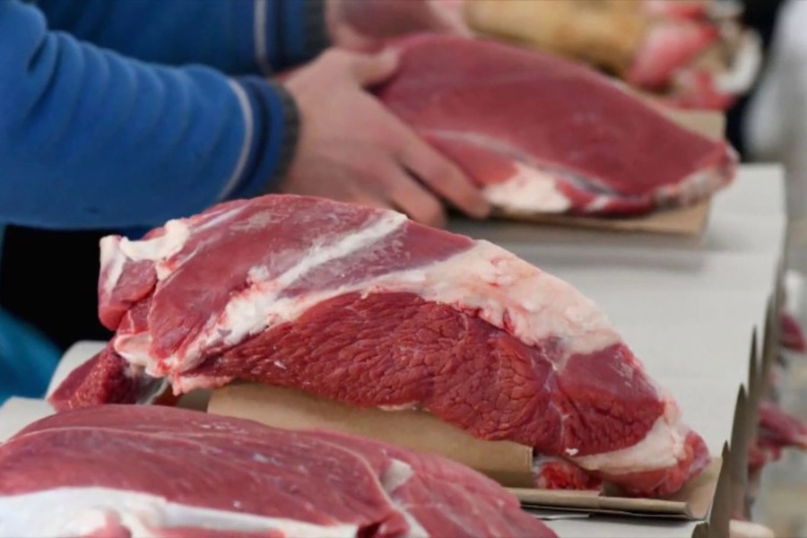 Мясо в Акмолинской области продавали по фиктивным справкам