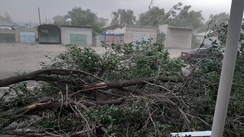 В Аягозе ВКО подсчитывают ущерб после урагана   