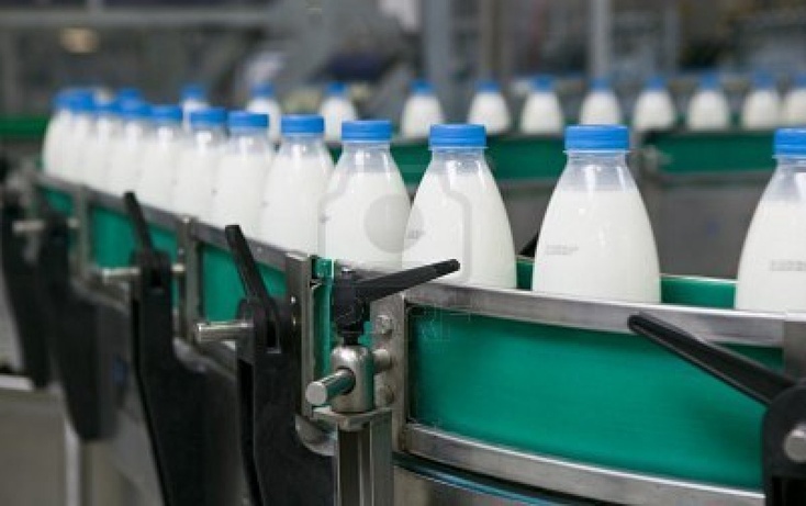 Более 500 семейных ферм молочного направления планируется открыть в РК до 2027 года
