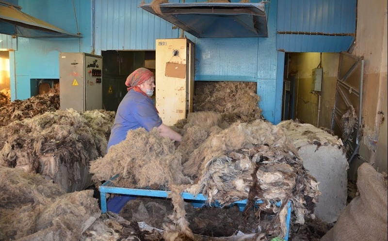В Талдыкоргане намерены ввести завод по переработке шерсти  