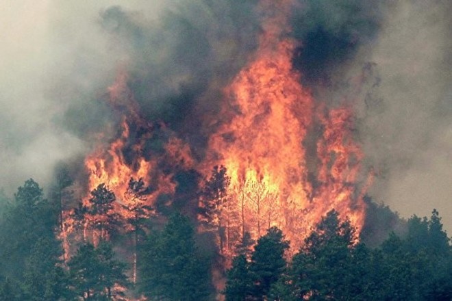 Почти 500 природных пожаров произошло в Казахстане за три недели  