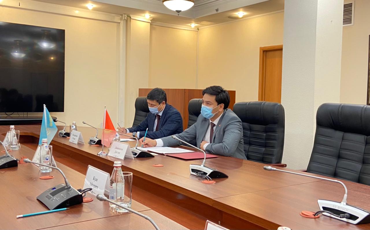 Министр экологии РК обсудил с послом Кыргызстана вопрос популяции джейранов