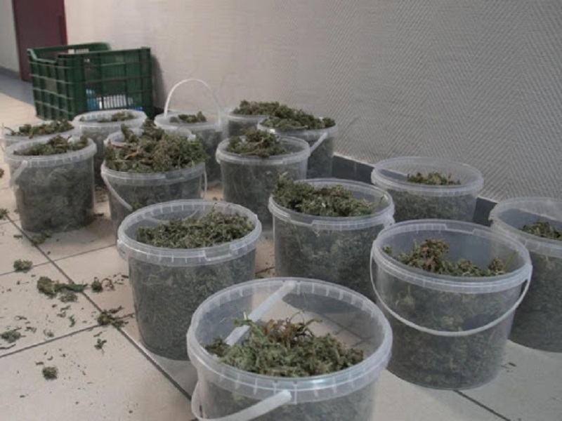 Свыше 20 кг марихуаны и более 1 кг гашиша изъято в Кызылординской области