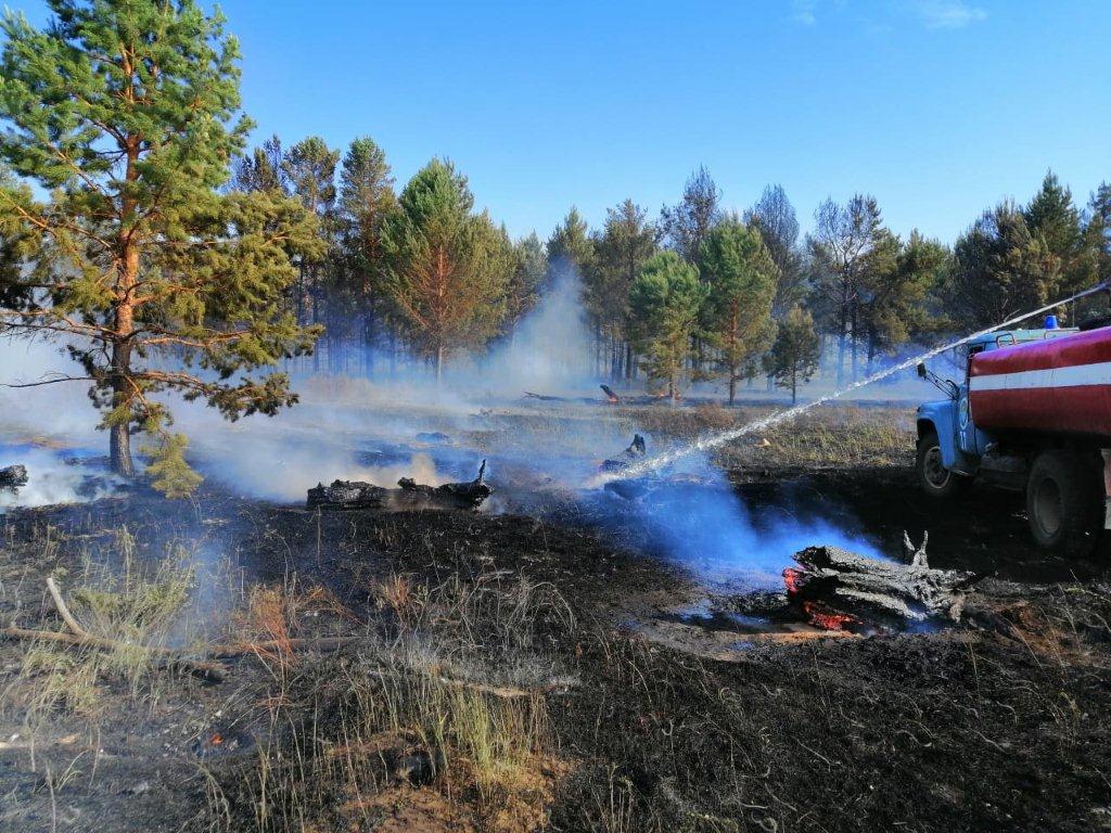 В Восточном Казахстане из-за грозового разряда загорелся лес 