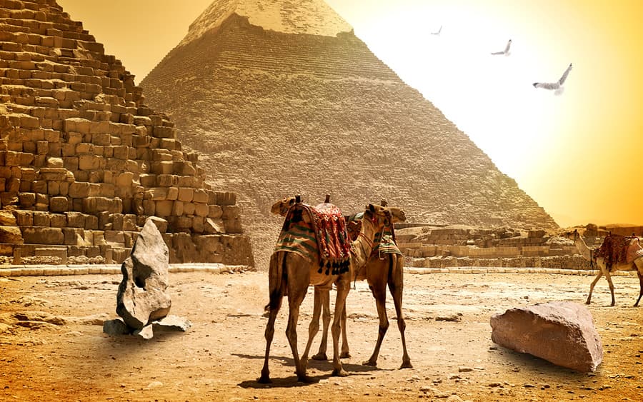 В Египте туристов предупредили об экстремальной жаре