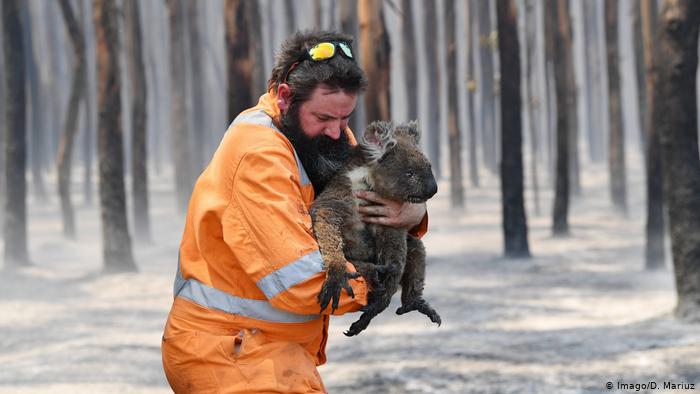 Премьер Австралии предупредил о возможном ухудшении ситуации с пожарами на востоке страны 