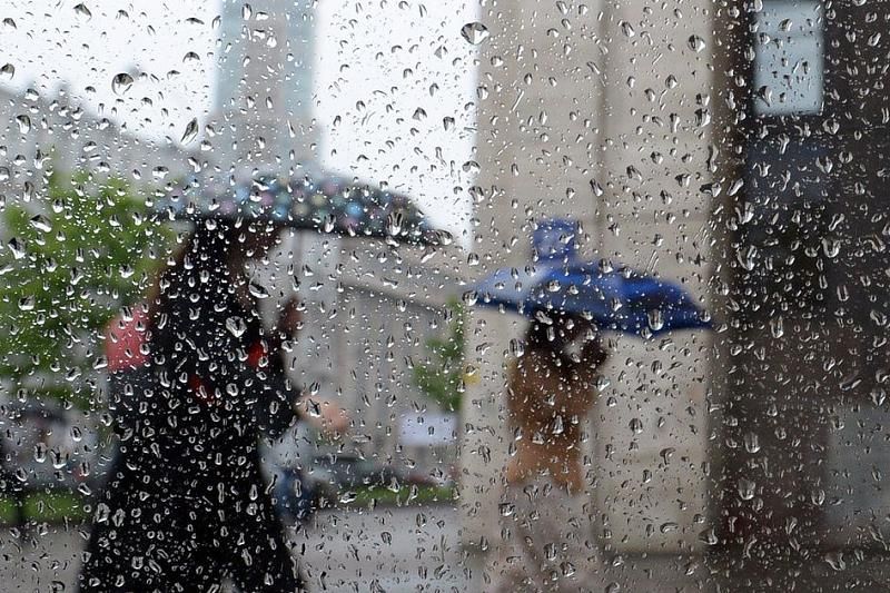Погода в Казахстане: выходные в западных и южных регионах будут дождливыми  