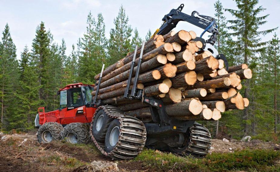 Цены на продукцию лесного хозяйства в РК выросли на 1,7% за год  