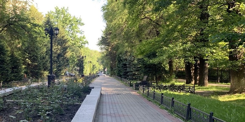 В Алматы планируют высадить 257 000 деревьев  