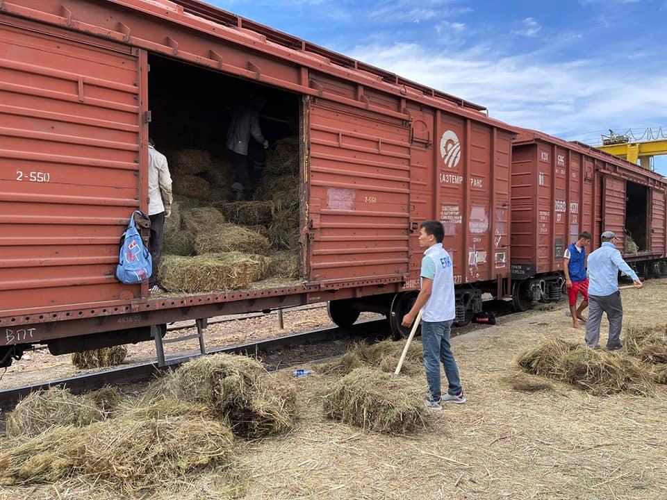 АШМ қазақстандықтардан құрғақшылықтан зардап шеккен фермерлерге көмек сұрайды 