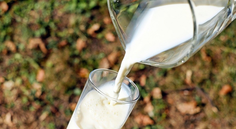 Как проблемы молочной отрасли скажутся на ценах для потребителей