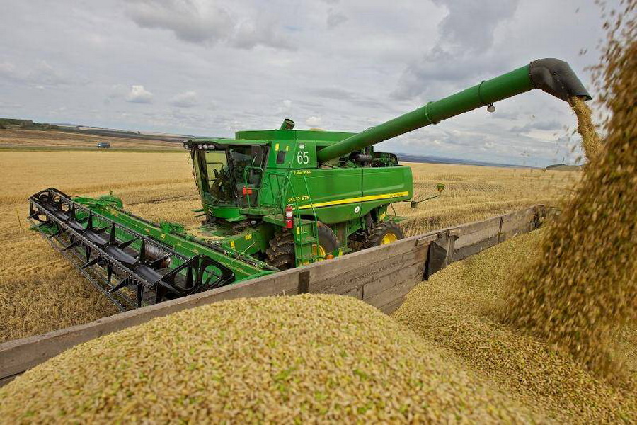 Урожай зерновых и зернобобовых в Казахстане превысил 19 млн тонн  