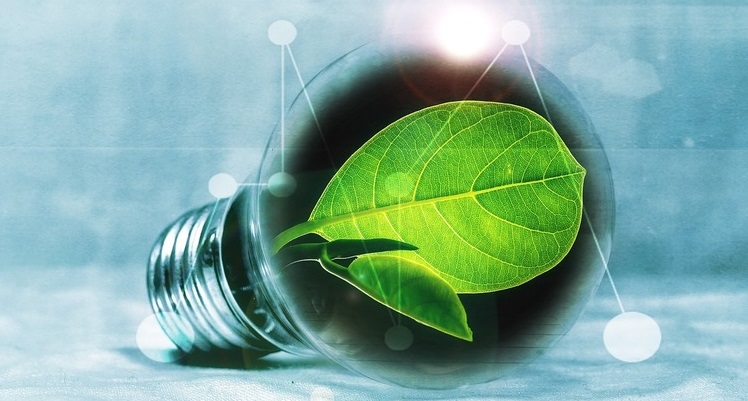 Рустем Кабжанов: "Зеленые" инвестиции – это улучшение экологии и стимул для экономического роста  