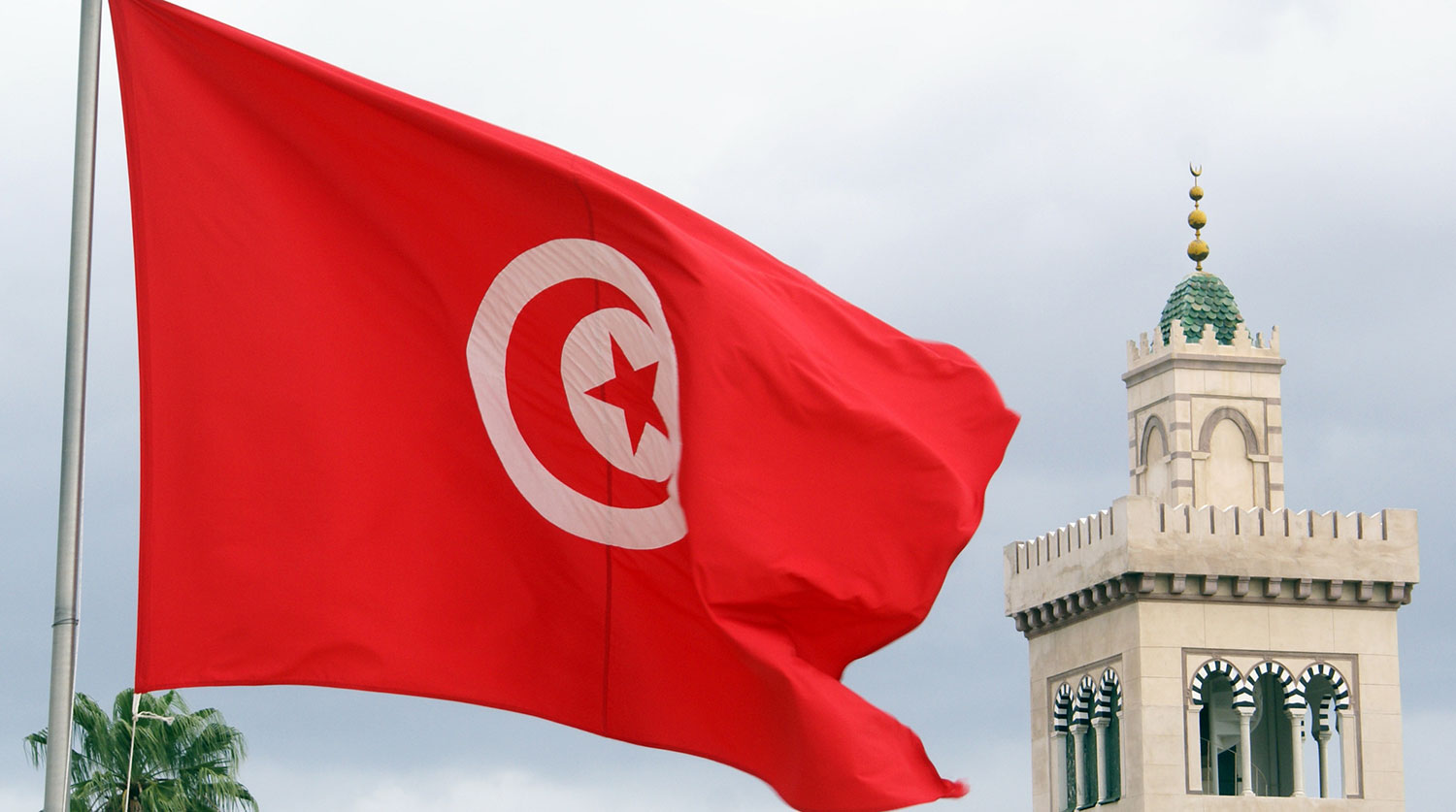 Власти Туниса смягчают требования к туристам  