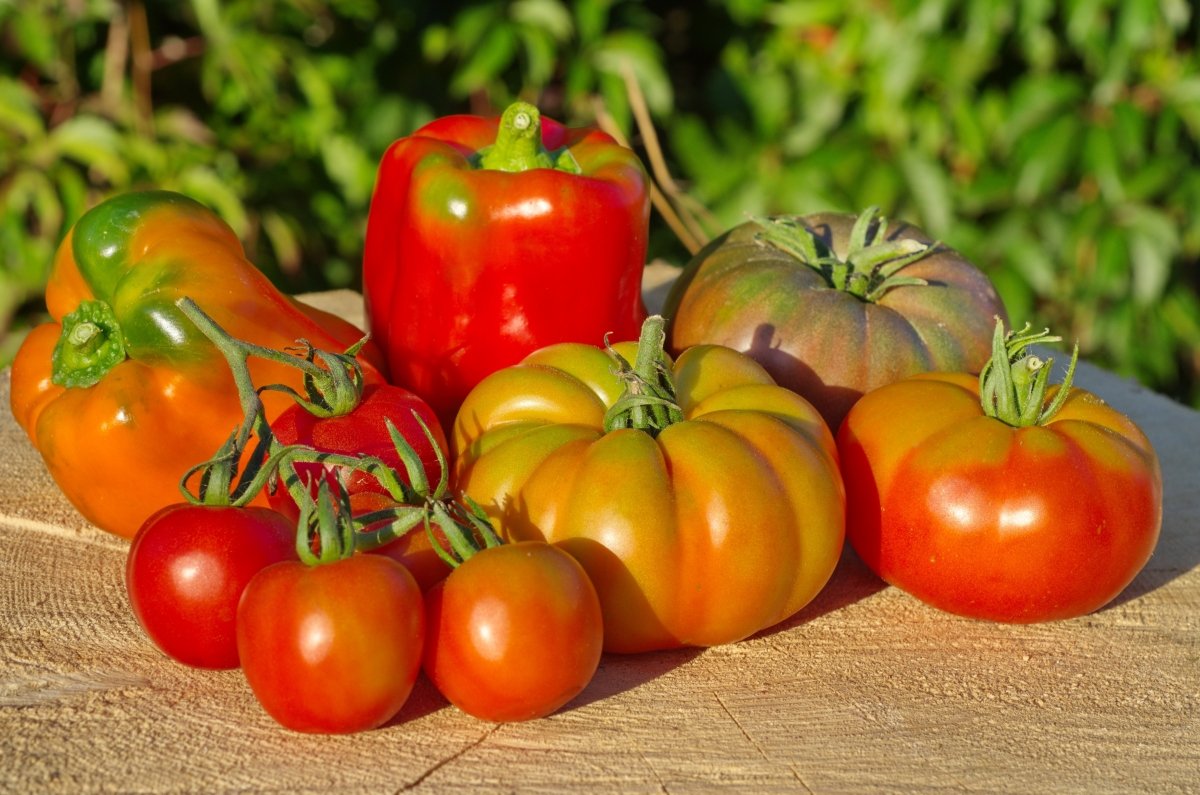 ЕЭК признала барьером российский запрет на ввоз казахстанских томатов и перцев  
