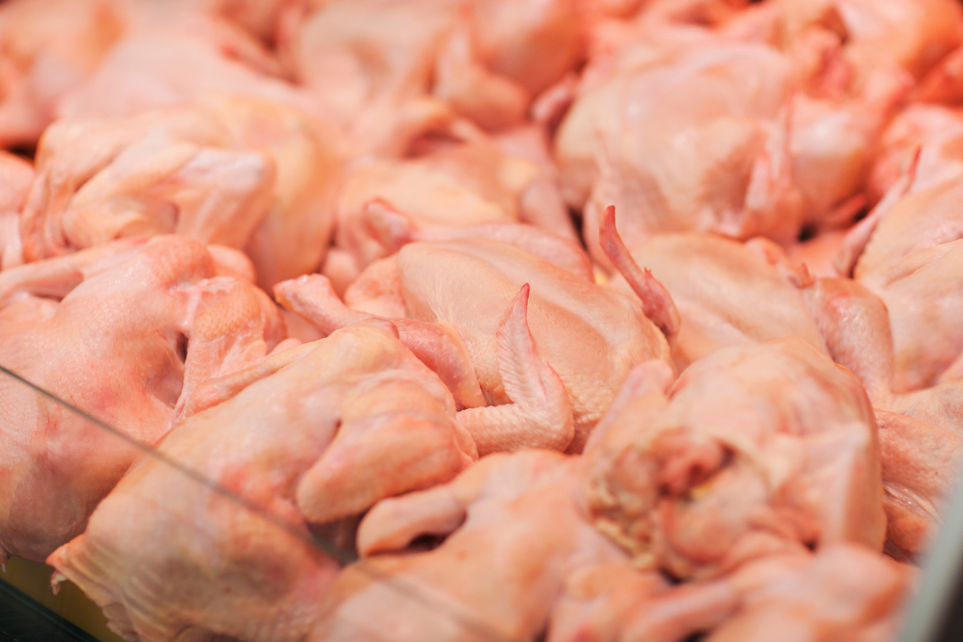 Цены на мясо птицы и яйца в Казахстане могут вырасти вдвое – Союз птицеводов 