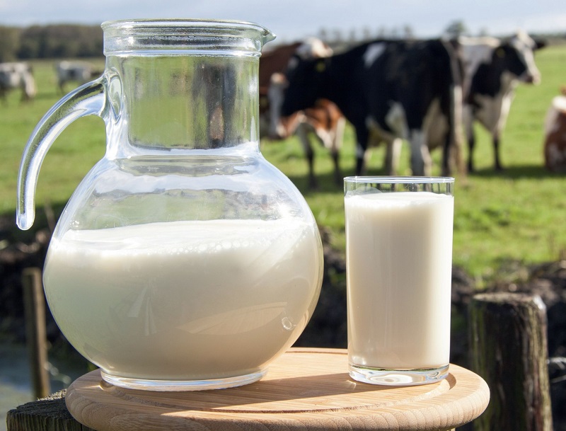 Казахстан планирует в течение пяти лет полностью обеспечить себя молоком   