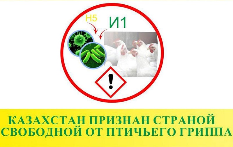 Казахстан признан страной, свободной от птичьего гриппа  