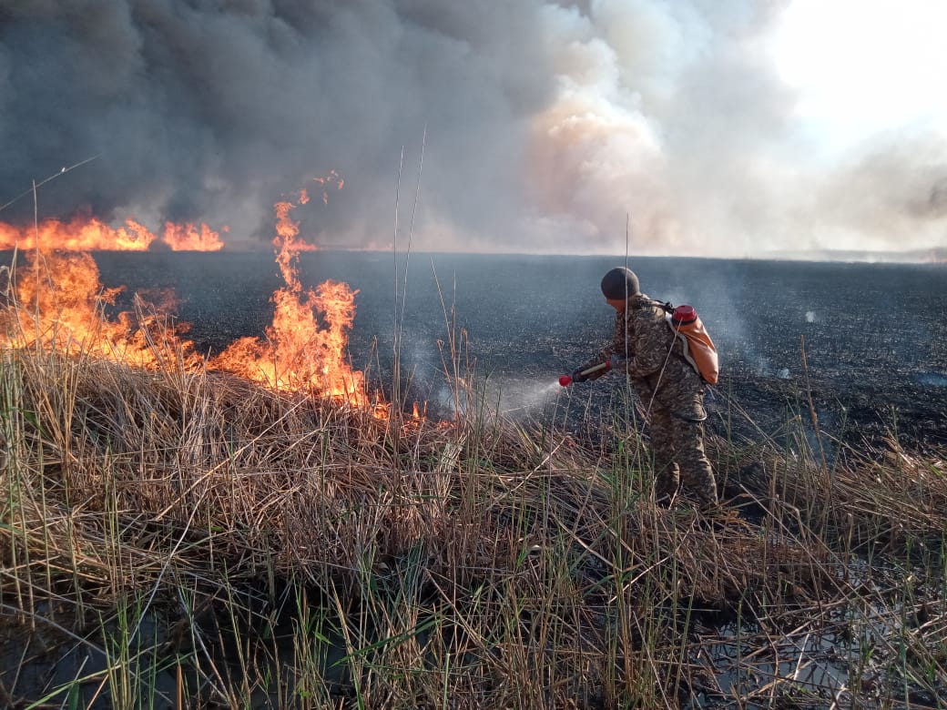 Сразу в трех районах Костанайской области горела степь  