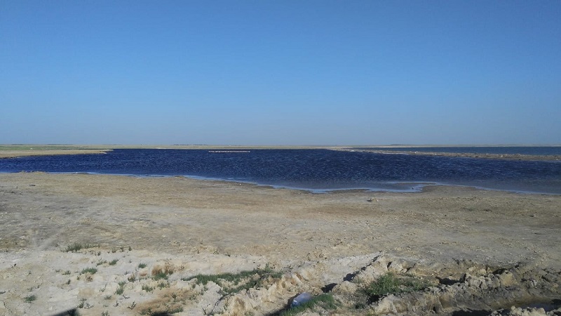 Конкурс по закреплению горько-соленых озер Павлодарской области признан несостоявшимся   