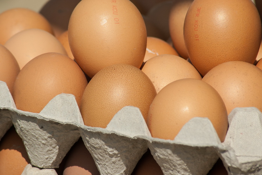 Яйца вновь могут вырасти в цене