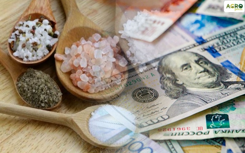 Казахстан за 11 месяцев увеличил объем экспорта поваренной соли до $6,3 млн   