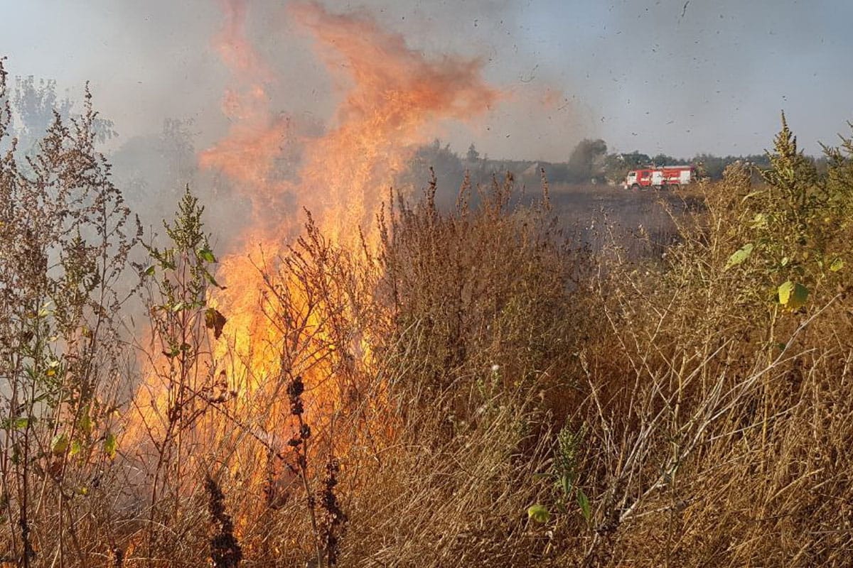 Более 40 раз за сутки  выезжали костанайские пожарные  