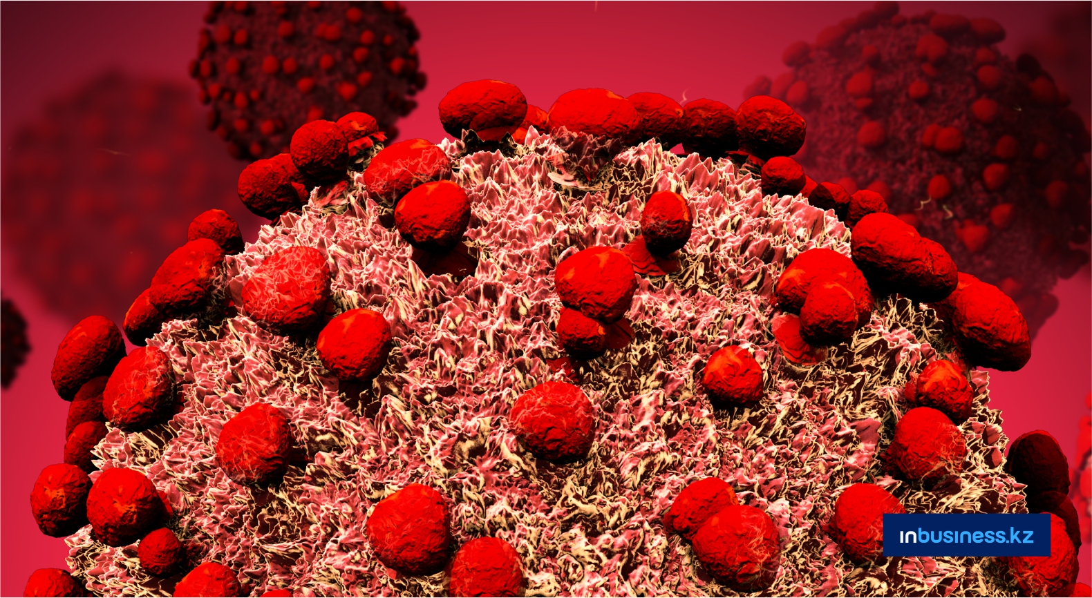 Ученые обнаружили новый штамм коронавируса  