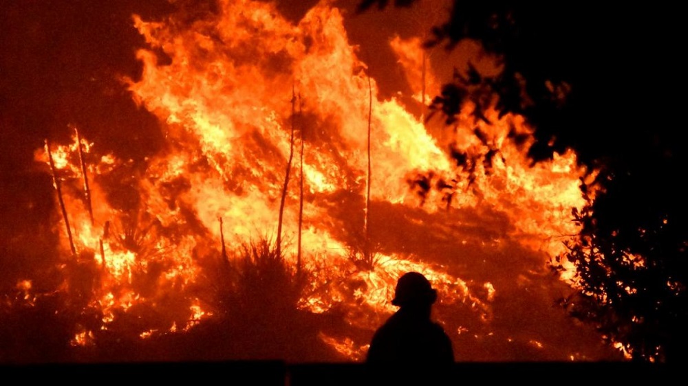 Более 8000 пожаров произошло в Казахстане с начала года