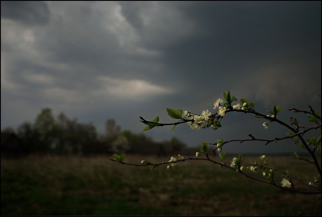 Погода в Казахстане: грозу и град обещают в Акмолинской области