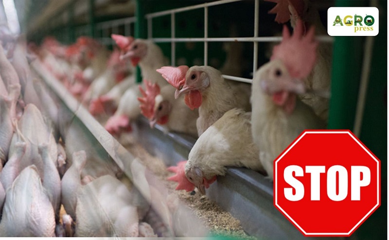 Казахстан ввел временный запрет на ввоз птицеводческой продукции из Винницкой области Украины  