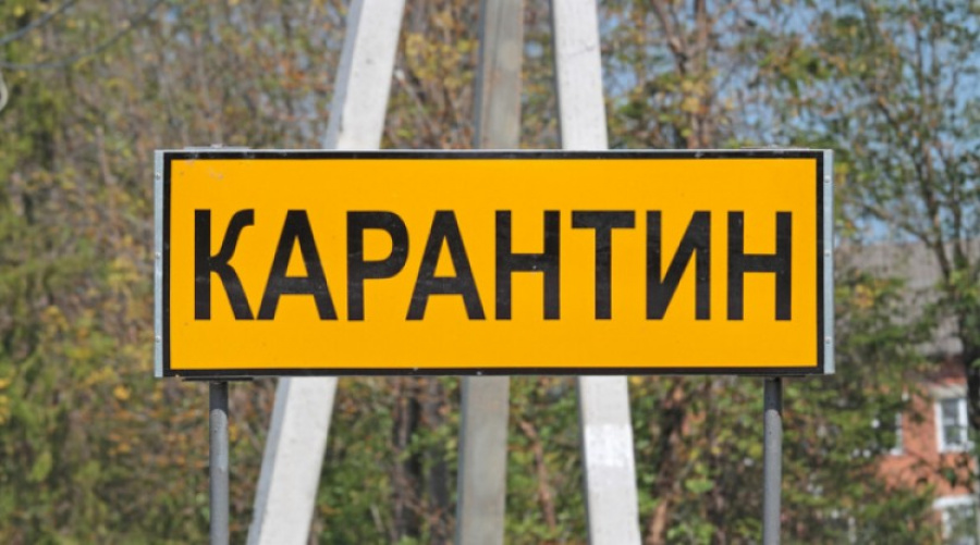 В Павлодаре и Экибастузе вновь закрывают сферу услуг на выходные