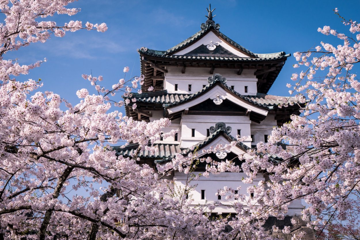 Япония весной может открыть границы для небольших групп туристов