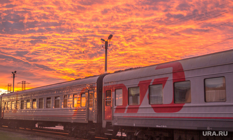 Прибывающим в Россию на поезде рекомендовали сдавать тест на COVID-19