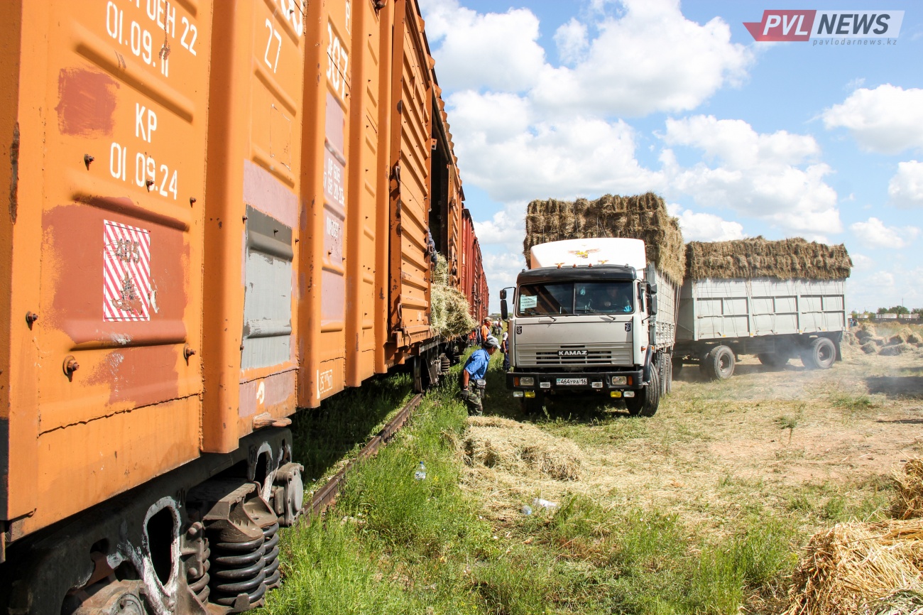 Павлодарлық шаруалар Маңғыстауға 250 тонна шөп жөнелтті 