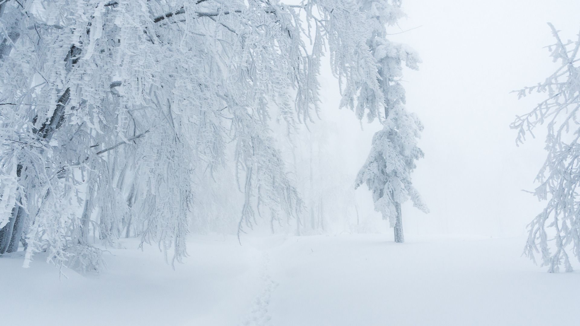 Погода в Казахстане: снег обещают в Алматы и нескольких регионах страны