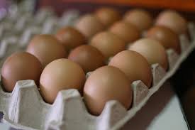 На 15% подорожали куриные яйца в Павлодаре