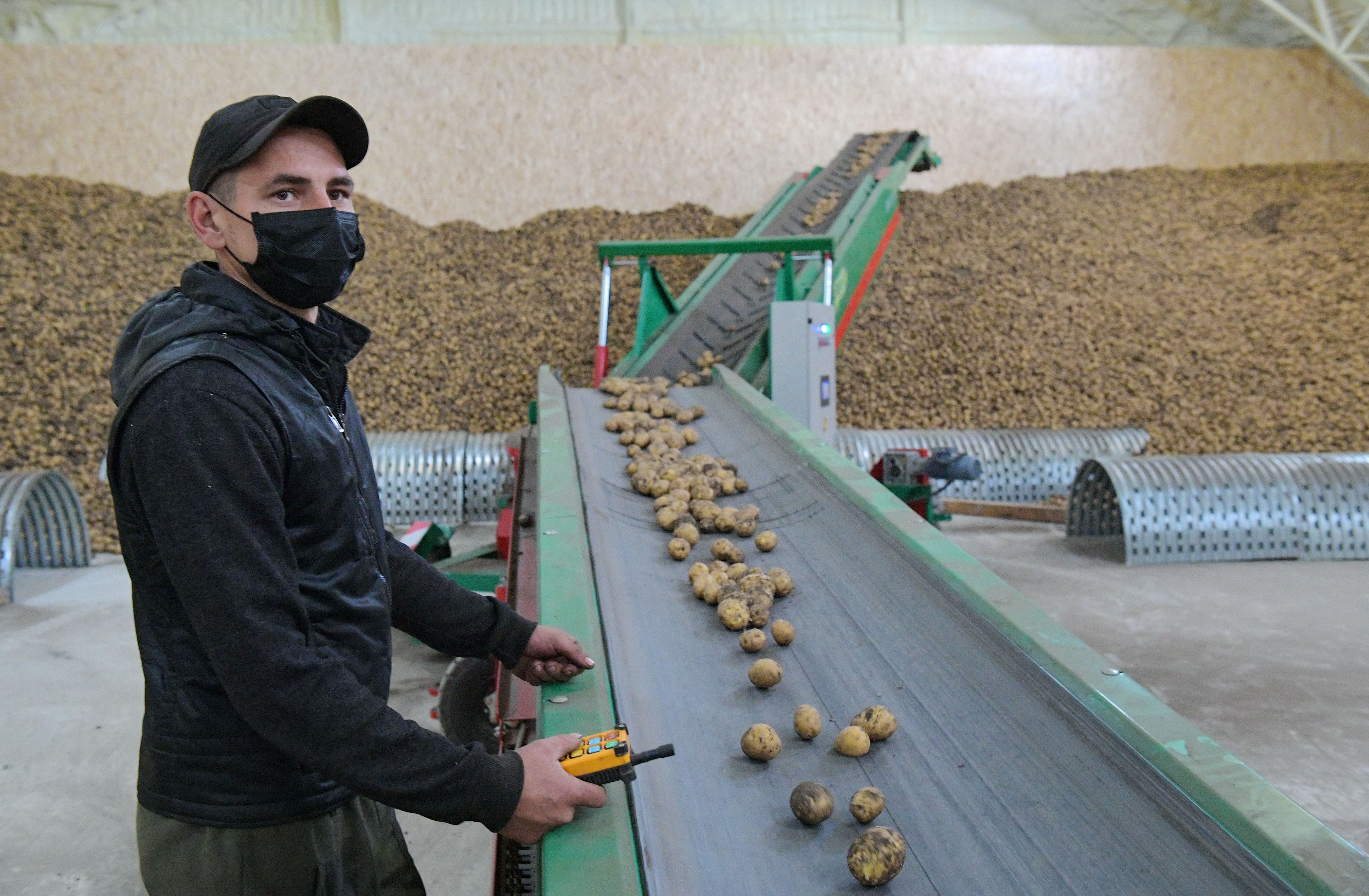 Павлодар облысы биыл да картоп көлемі бойынша рекорд орнатты 