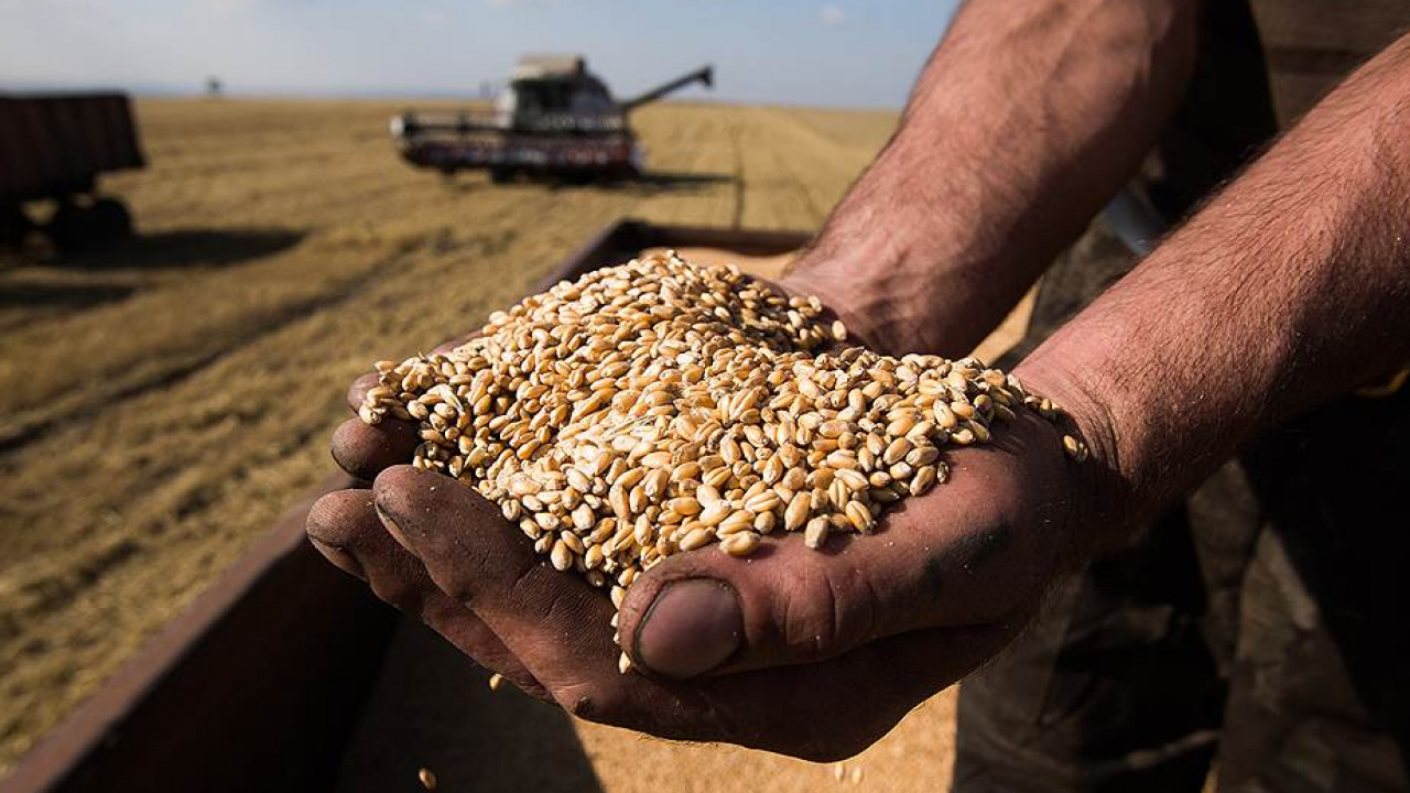 Китай собрал рекордный урожай зерновых в 2019 году