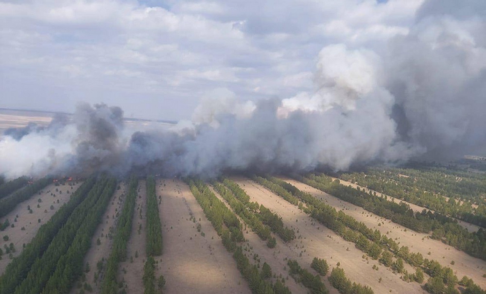 Пожар в Павлодарской области пока не ликвидирован  