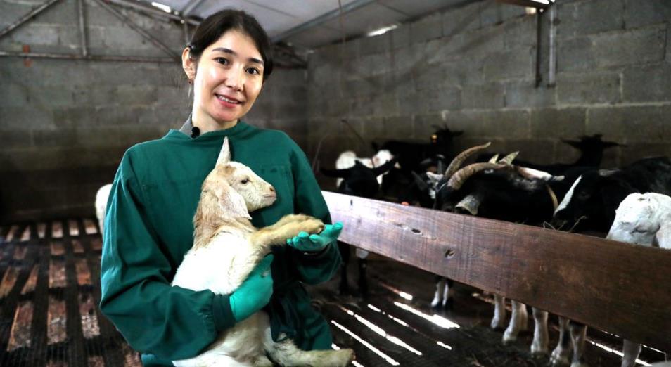 Как учится ветеринар из Кызылординской области в Китае