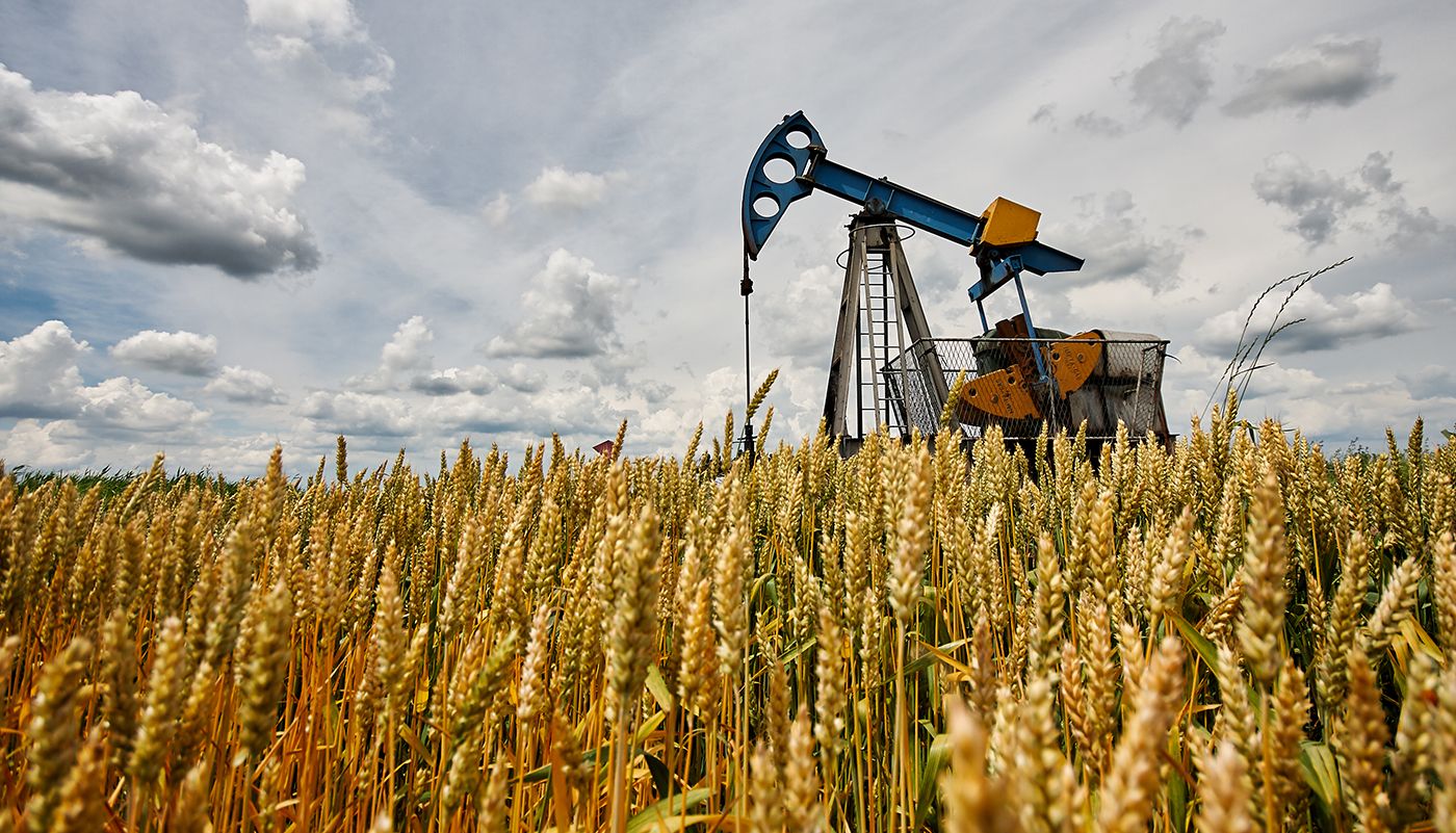Зерно и нефть: вершки и корешки