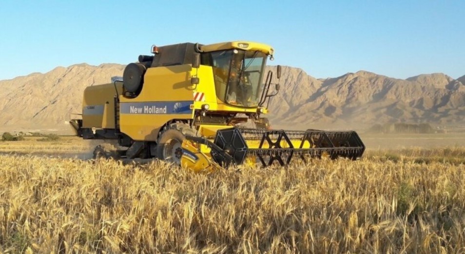 Из-за неопределенности в Афганистане Казахстан может перенаправить свою пшеницу в Иран