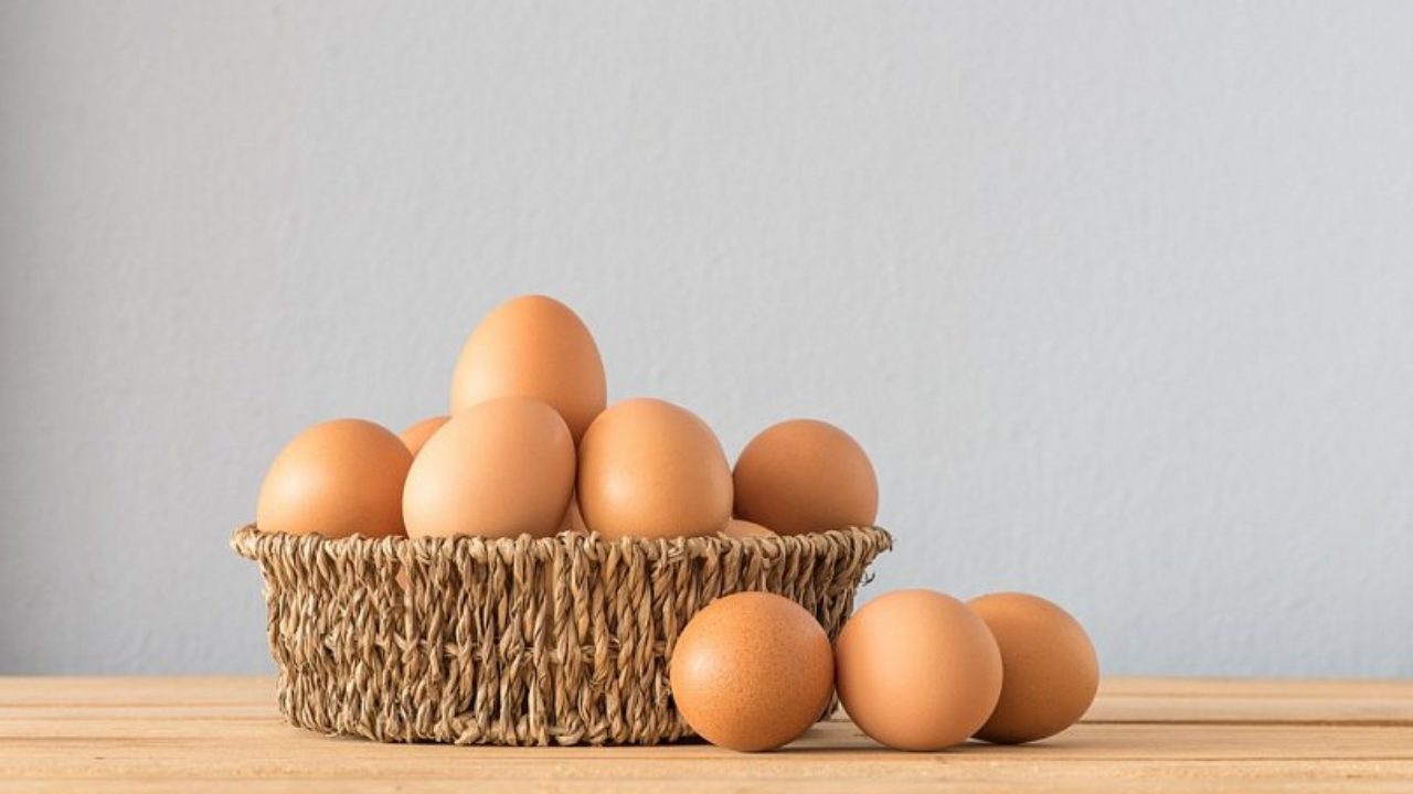 В Северо-Казахстанской области предлагают установить предельно допустимую цену на яйца  