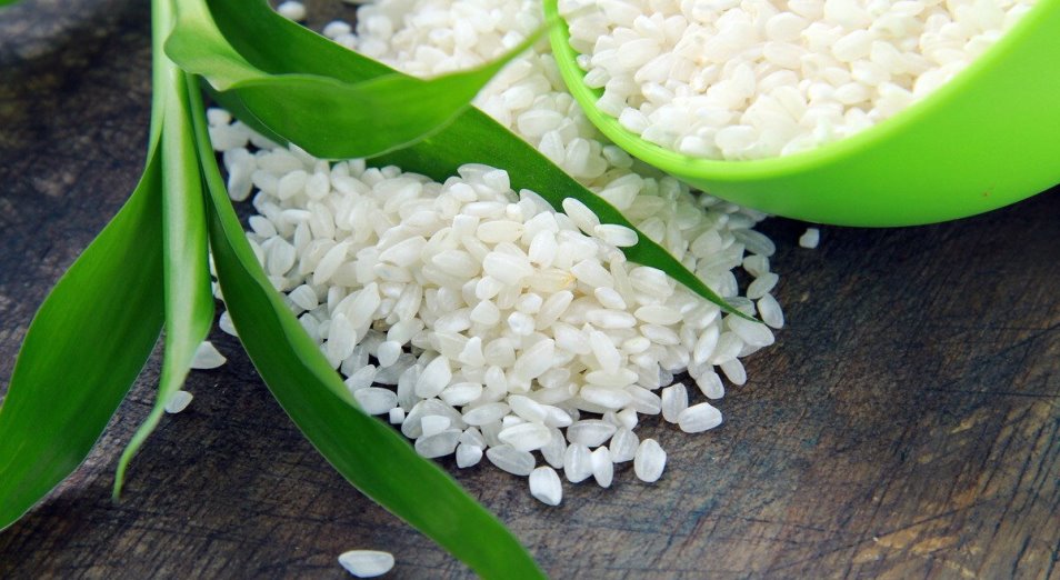 Производство риса ушло в минус на 7% за год